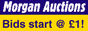 Morgan Auctions - technology items from &pound;1