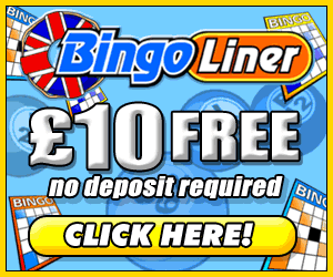 Bingo Liner Bingo Liner