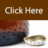 GrapeVineSocial
