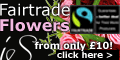 Imogen Stone - Traditional and modern flowers for all occasions