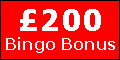 Bingo Boogie