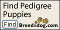 Breed A Dog 