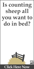 Anal Sex Toys