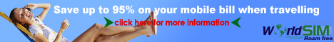world sim banner