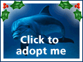Adopt a Dolphin