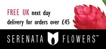 www.serenataflowers.com