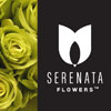Serenata Flowers