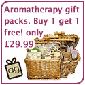 Alternative Gift Company - have been making a success of online gift retailing since 1999, with their wide range of products catering for men, women and children and a regular weekly top ten in each category. 