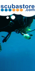 scuba store