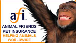We are the only UK pet insurance company to donate 100% of our net profits to help animal charities worldwide. 