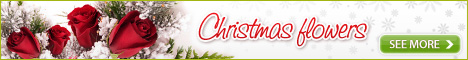 Floraqueen for Christmas