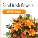  FloraQueen