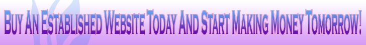 Buy  A Website