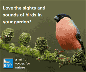 Royal Society for Protection of Birds Charity
