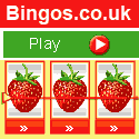 Online Bingo with Chat Facility - Internet Bingo