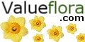 Value Flora