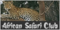 African Safari Club