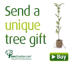 169971 Online tree gifts | Native trees for every gift occasion
